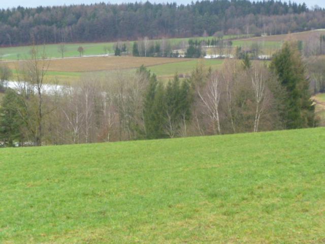 Blockhaus Mit Wlan Bayern Villa Stamsried Exteriör bild
